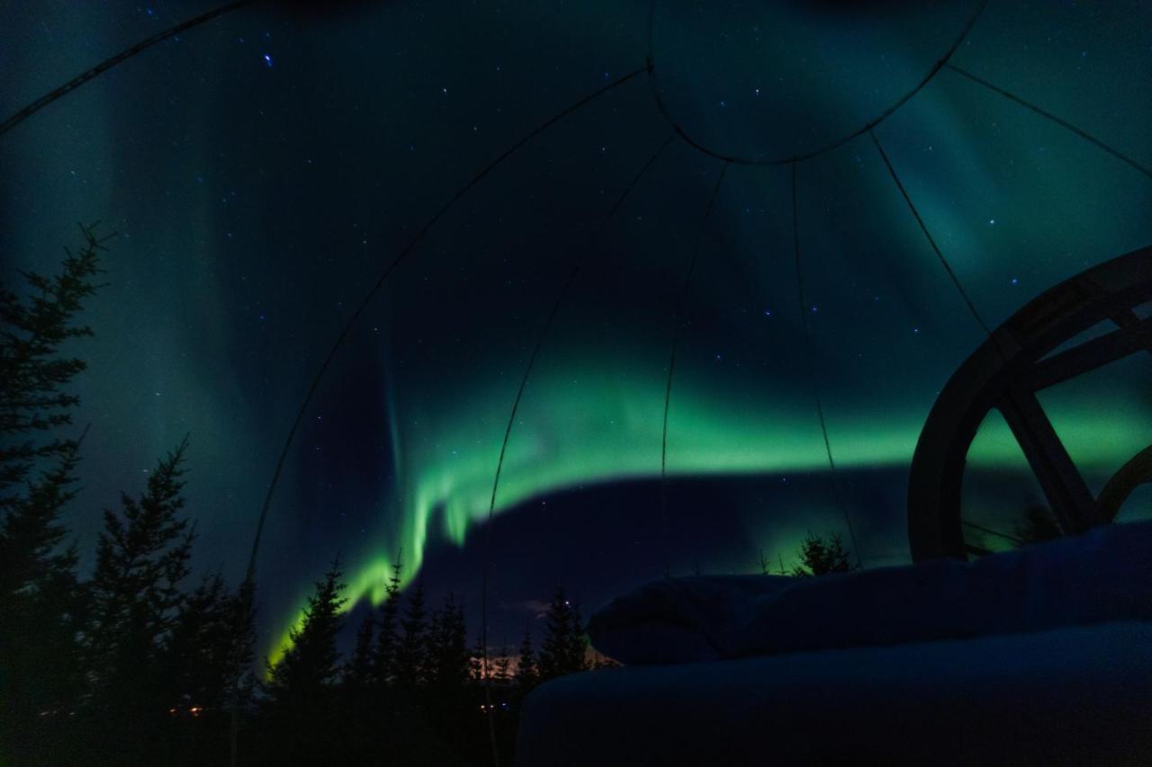 Buubble Hotel - Hrosshagi Selfoss Exterior photo